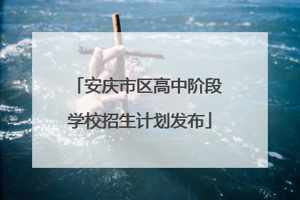安庆市区高中阶段学校招生计划发布