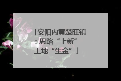 安阳内黄楚旺镇：思路“上新” 土地“生金”