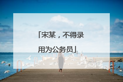 宋某，不得录用为公务员