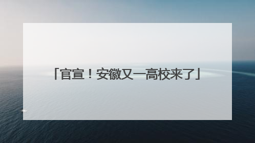 官宣！安徽又一高校来了