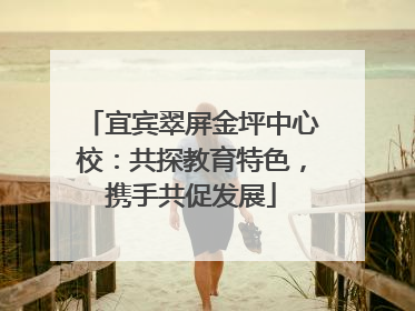 宜宾翠屏金坪中心校：共探教育特色，携手共促发展