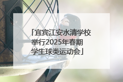 宜宾江安水清学校举行2025年春期学生球类运动会