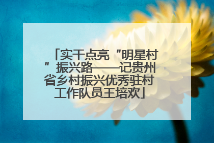 实干点亮“明星村”振兴路——记贵州省乡村振兴优秀驻村工作队员王培欢
