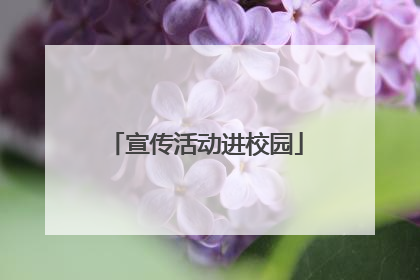 宣传活动进校园