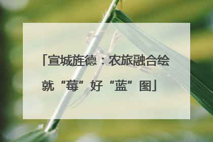 宣城旌德：农旅融合绘就“莓”好“蓝”图
