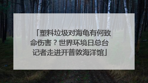 塑料垃圾对海龟有何致命伤害？世界环境日总台记者走进开普敦海洋馆