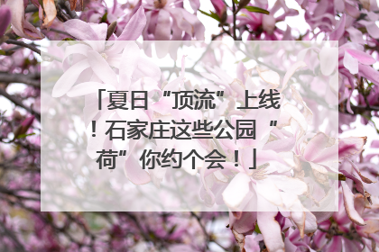 夏日“顶流”上线！石家庄这些公园“荷”你约个会！