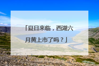 夏日来临，西湖六月黄上市了吗？