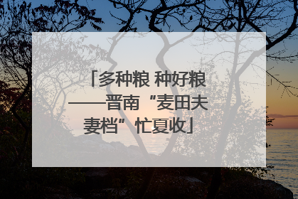 多种粮 种好粮——晋南“麦田夫妻档”忙夏收