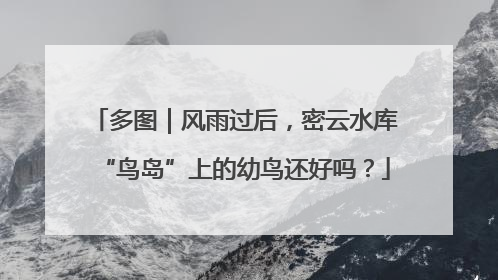 多图｜风雨过后，密云水库“鸟岛”上的幼鸟还好吗？