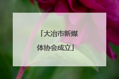 大冶市新媒体协会成立