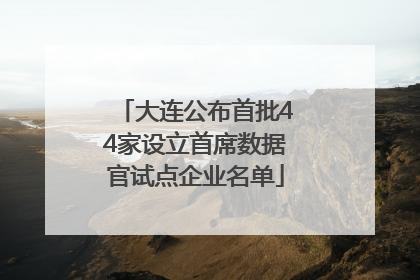 大连公布首批44家设立首席数据官试点企业名单