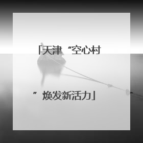 天津“空心村”焕发新活力