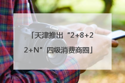 天津推出“2+8+22+N”四级消费商圈