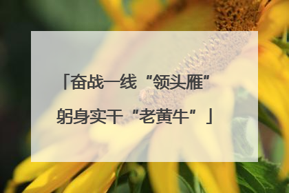 奋战一线“领头雁” 躬身实干“老黄牛”