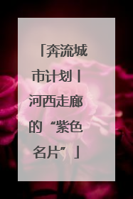 奔流城市计划丨河西走廊的“紫色名片”
