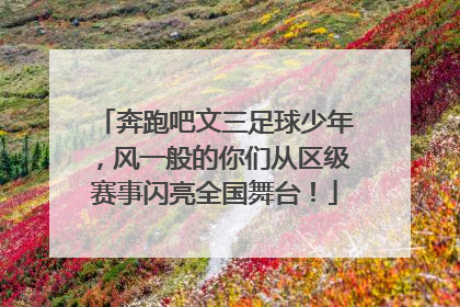 奔跑吧文三足球少年，风一般的你们从区级赛事闪亮全国舞台！