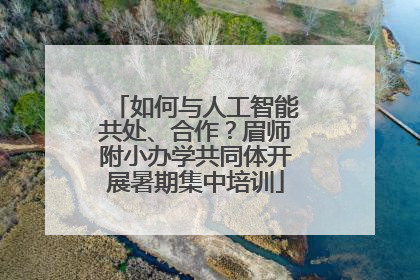 如何与人工智能共处、合作？眉师附小办学共同体开展暑期集中培训