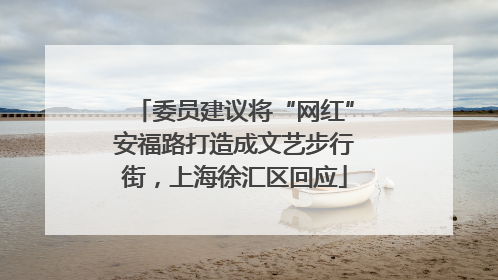 委员建议将“网红”安福路打造成文艺步行街，上海徐汇区回应