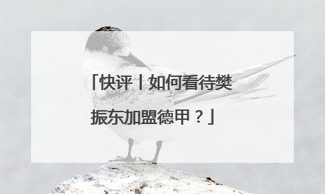 快评丨如何看待樊振东加盟德甲？
