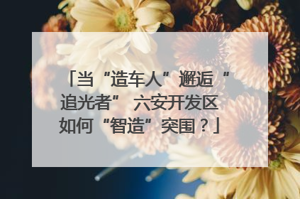 当“造车人”邂逅“追光者” 六安开发区如何“智造”突围？
