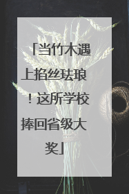 当竹木遇上掐丝珐琅！这所学校捧回省级大奖