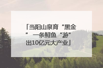 当阳山泉育“黑金” 一条鲟鱼“游”出10亿元大产业