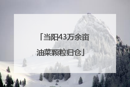 当阳43万余亩油菜颗粒归仓