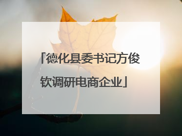 德化县委书记方俊钦调研电商企业