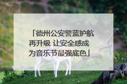 德州公安警蓝护航再升级 让安全感成为音乐节最强底色