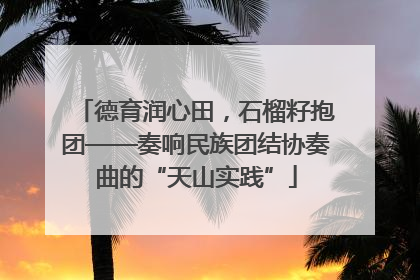 德育润心田，石榴籽抱团——奏响民族团结协奏曲的“天山实践”