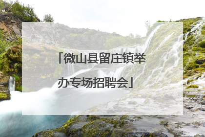 微山县留庄镇举办专场招聘会
