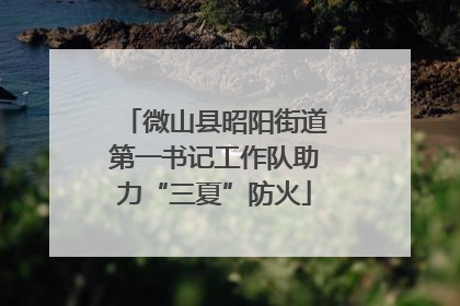 微山县昭阳街道第一书记工作队助力“三夏”防火