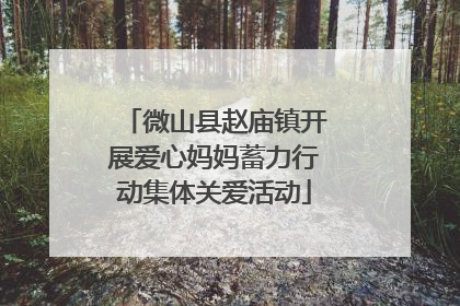 微山县赵庙镇开展爱心妈妈蓄力行动集体关爱活动