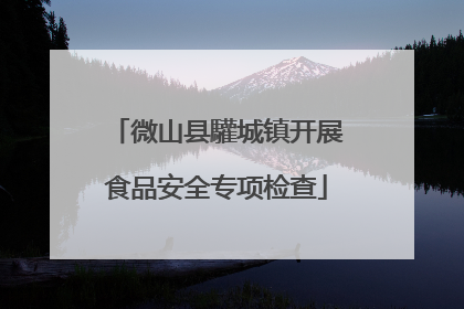 微山县驩城镇开展食品安全专项检查