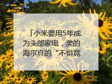小米要用5年成为头部家电，美的海尔真的“不惧竞争”？｜热财经