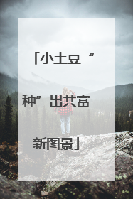 小土豆“种”出共富新图景