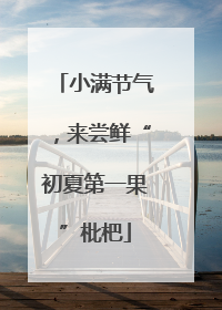 小满节气，来尝鲜“初夏第一果”枇杷