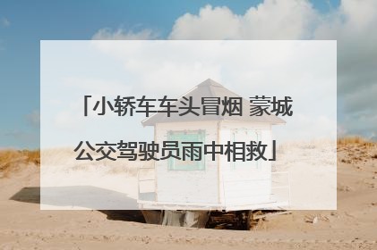 小轿车车头冒烟 蒙城公交驾驶员雨中相救