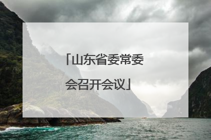 山东省委常委会召开会议