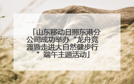 山东移动日照东港分公司成功举办“龙舟竞渡暨走进大自然健步行”端午主题活动