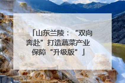 山东兰陵：“双向奔赴”打造蔬菜产业保障“升级版”