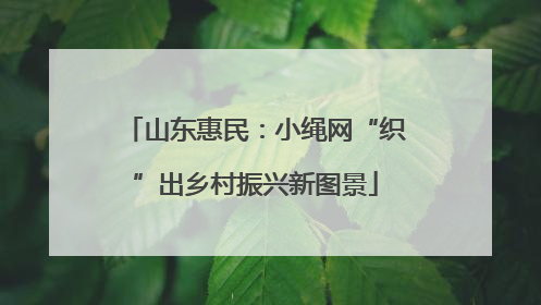 山东惠民：小绳网“织”出乡村振兴新图景