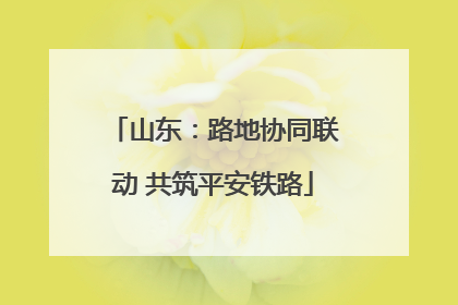 山东：路地协同联动 共筑平安铁路