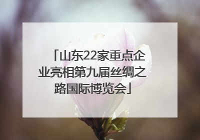 山东22家重点企业亮相第九届丝绸之路国际博览会