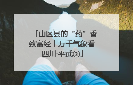山区县的“药”香致富经丨万千气象看四川·平武③