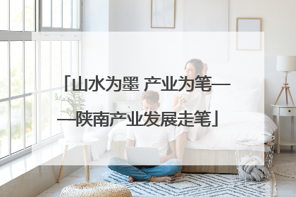 山水为墨 产业为笔——陕南产业发展走笔