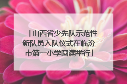 山西省少先队示范性新队员入队仪式在临汾市第一小学圆满举行