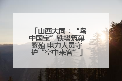 山西大同：“鸟中国宝”铁塔筑巢繁殖 电力人员守护“空中来客”