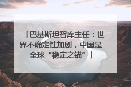 巴基斯坦智库主任：世界不确定性加剧，中国是全球“稳定之锚”